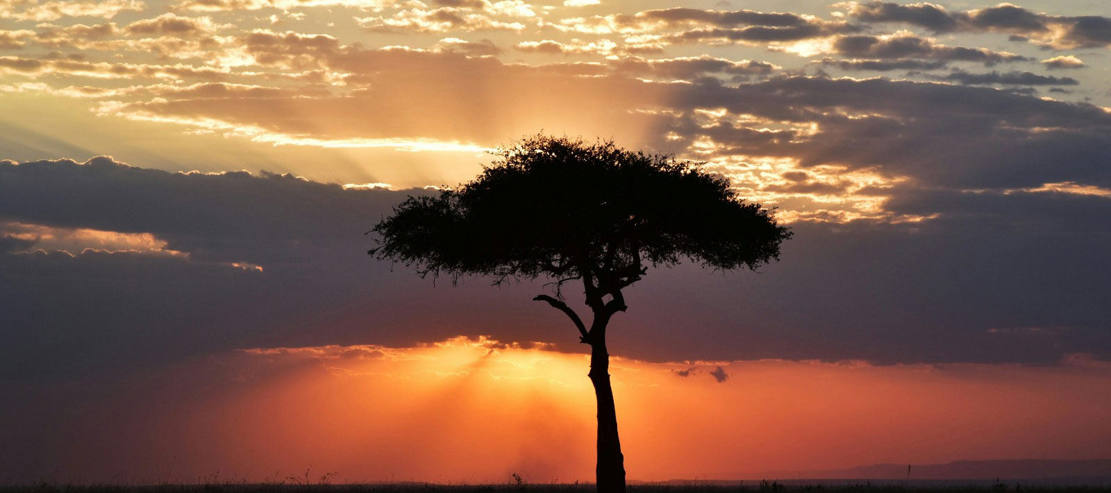 Swahili cultural center